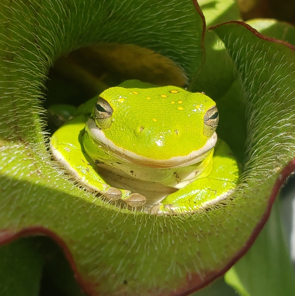 Meet your Posher, Linda